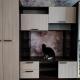review preview photo № 0