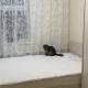 review preview photo № 2