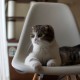review photo № 0
