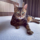 review photo № 0